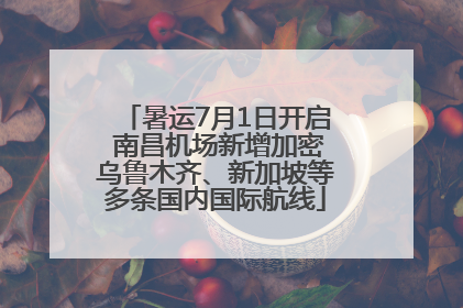暑运7月1日开启 南昌机场新增加密乌鲁木齐、新加坡等多条国内国际航线