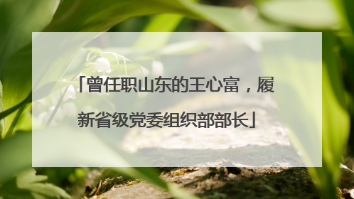 曾任职山东的王心富，履新省级党委组织部部长