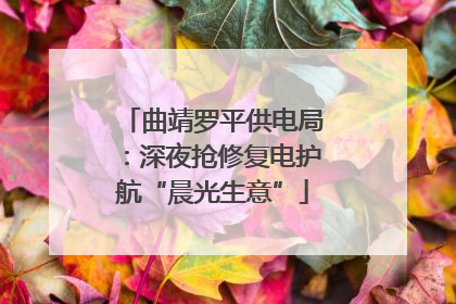 曲靖罗平供电局：深夜抢修复电护航“晨光生意”