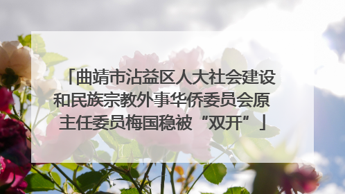曲靖市沾益区人大社会建设和民族宗教外事华侨委员会原主任委员梅国稳被“双开”