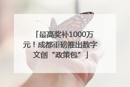 最高奖补1000万元！成都重磅推出数字文创“政策包”