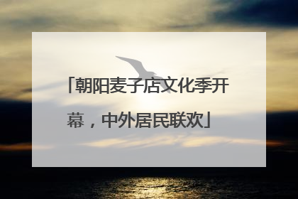 朝阳麦子店文化季开幕，中外居民联欢