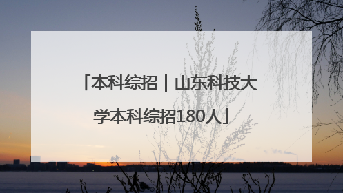 本科综招｜山东科技大学本科综招180人