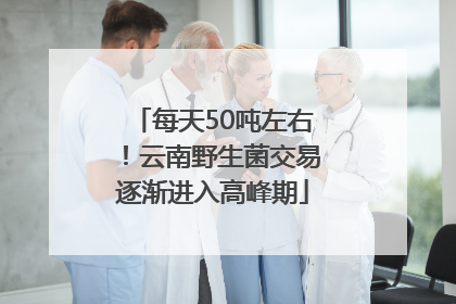 每天50吨左右！云南野生菌交易逐渐进入高峰期