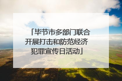 毕节市多部门联合开展打击和防范经济犯罪宣传日活动