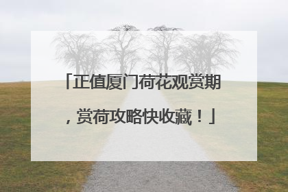 正值厦门荷花观赏期，赏荷攻略快收藏！