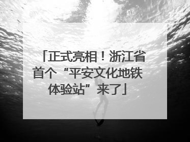 正式亮相！浙江省首个“平安文化地铁体验站”来了