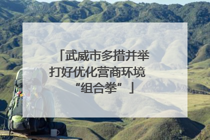 武威市多措并举打好优化营商环境“组合拳”