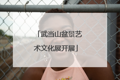 武当山盆景艺术文化展开展