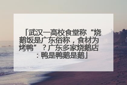 武汉一高校食堂称“烧鹅饭是广东俗称，食材为烤鸭”？广东多家烧鹅店：鸭是鸭鹅是鹅
