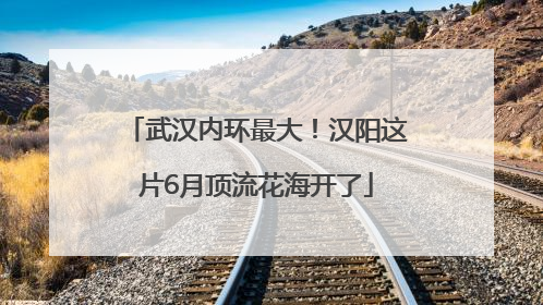 武汉内环最大！汉阳这片6月顶流花海开了