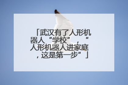 武汉有了人形机器人“学校”，“人形机器人进家庭，这是第一步”
