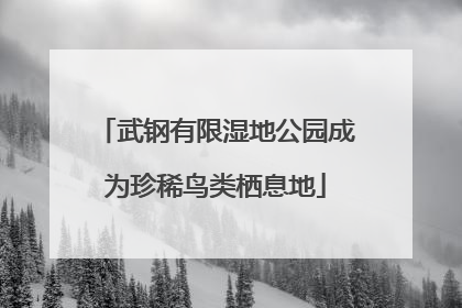 武钢有限湿地公园成为珍稀鸟类栖息地