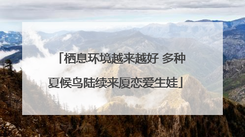 栖息环境越来越好 多种夏候鸟陆续来厦恋爱生娃