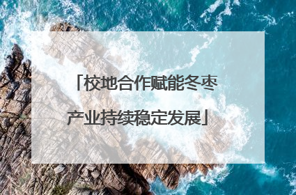 校地合作赋能冬枣产业持续稳定发展