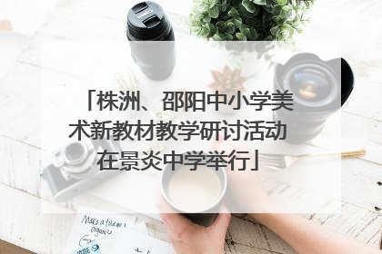 株洲、邵阳中小学美术新教材教学研讨活动在景炎中学举行