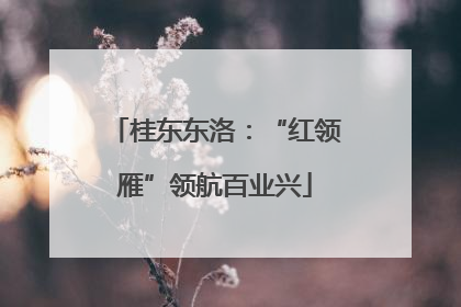 桂东东洛：“红领雁”领航百业兴