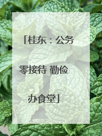 桂东：公务零接待 勤俭办食堂