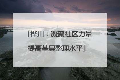 桦川：凝聚社区力量 提高基层整理水平