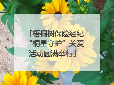 梧桐树保险经纪“桐星守护”关爱活动圆满举行