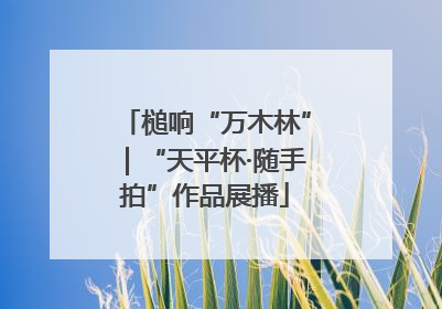 槌响“万木林”｜“天平杯·随手拍”作品展播