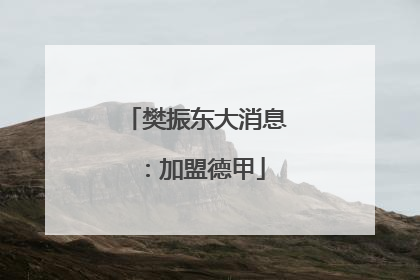 樊振东大消息：加盟德甲