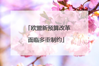 欧盟新预算改革面临多重制约