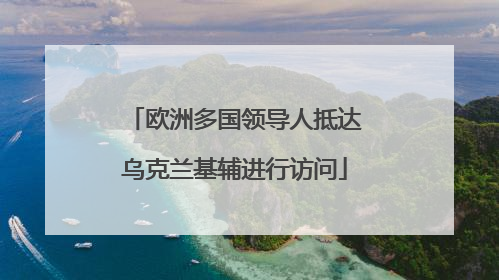 欧洲多国领导人抵达乌克兰基辅进行访问
