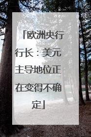 欧洲央行行长：美元主导地位正在变得不确定