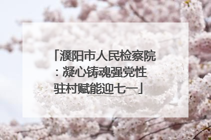 濮阳市人民检察院：凝心铸魂强党性 驻村赋能迎七一