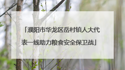 濮阳市华龙区岳村镇人大代表一线助力粮食安全保卫战