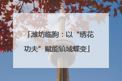 潍坊临朐：以“绣花功夫”赋能镇域蝶变