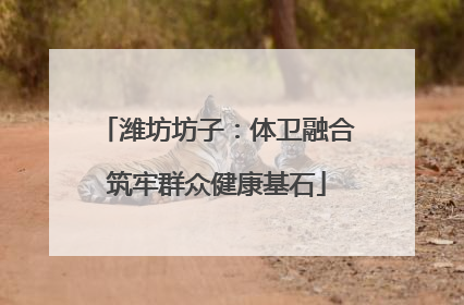 潍坊坊子：体卫融合筑牢群众健康基石