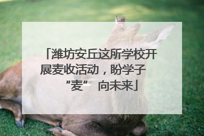 潍坊安丘这所学校开展麦收活动，盼学子 “麦” 向未来