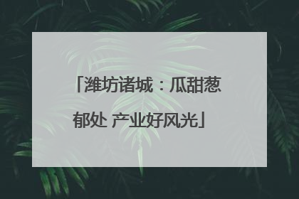 潍坊诸城：瓜甜葱郁处 产业好风光