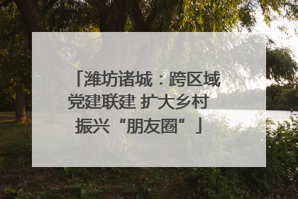 潍坊诸城：跨区域党建联建 扩大乡村振兴“朋友圈”