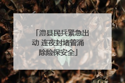澧县民兵紧急出动 连夜封堵管涌除险保安全
