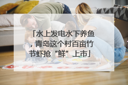 水上发电水下养鱼，青岛这个村百亩竹节虾抢“鲜”上市