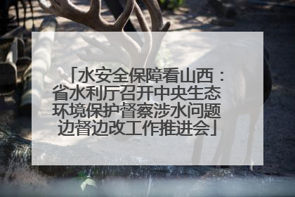水安全保障看山西：省水利厅召开中央生态环境保护督察涉水问题边督边改工作推进会