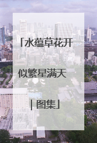 水蕴草花开 似繁星满天｜图集