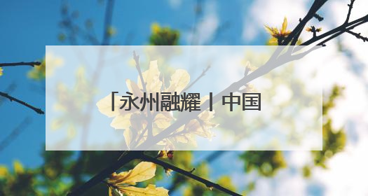 永州融耀丨中国人寿永州分公司：四力擎旗践初心 服务潇湘助发展
