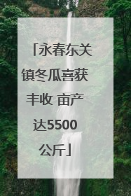 永春东关镇冬瓜喜获丰收 亩产达5500公斤
