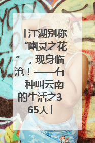 江湖别称“幽灵之花”，现身临沧！——有一种叫云南的生活之365天
