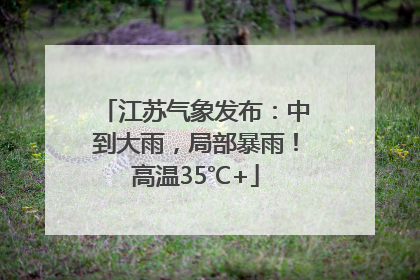 江苏气象发布：中到大雨，局部暴雨！高温35℃+