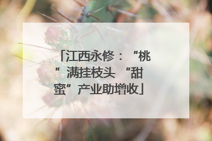 江西永修：“桃”满挂枝头 “甜蜜”产业助增收