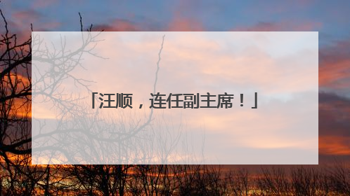 汪顺，连任副主席！