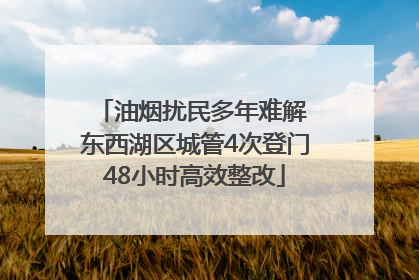 油烟扰民多年难解 东西湖区城管4次登门48小时高效整改