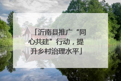 沂南县推广“同心共建”行动，提升乡村治理水平
