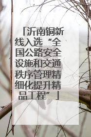 沂南铜新线入选“全国公路安全设施和交通秩序管理精细化提升精品工程”