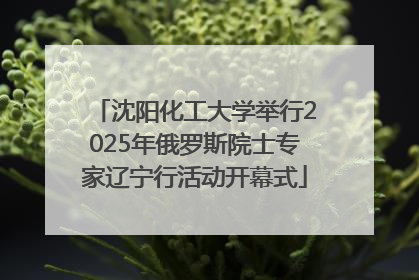 沈阳化工大学举行2025年俄罗斯院士专家辽宁行活动开幕式